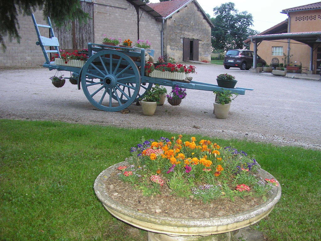 Domaine De La Belliere Hotel Villars-les-Dombes Luaran gambar