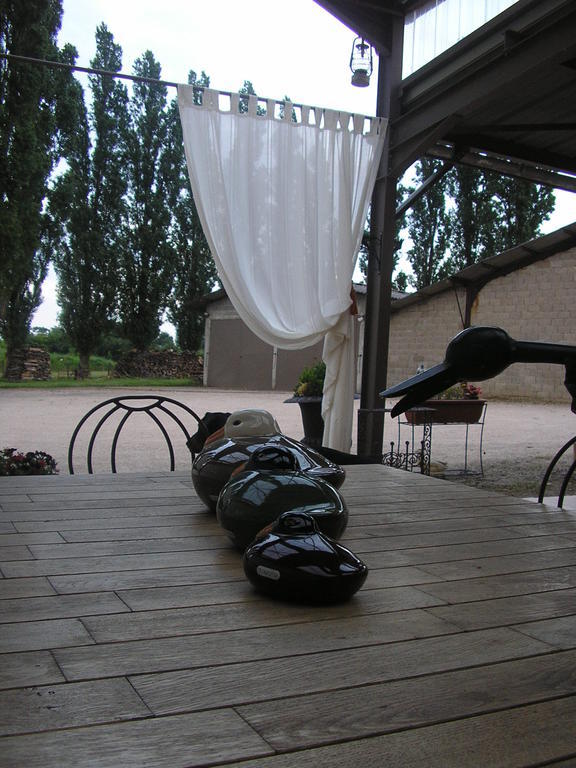 Domaine De La Belliere Hotel Villars-les-Dombes Luaran gambar