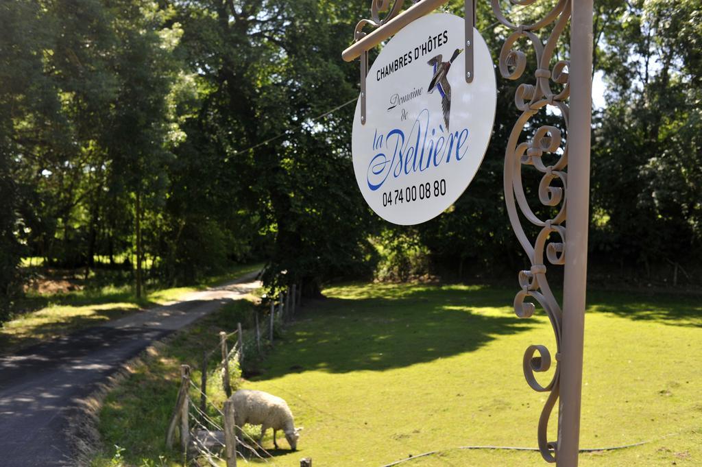 Domaine De La Belliere Hotel Villars-les-Dombes Luaran gambar