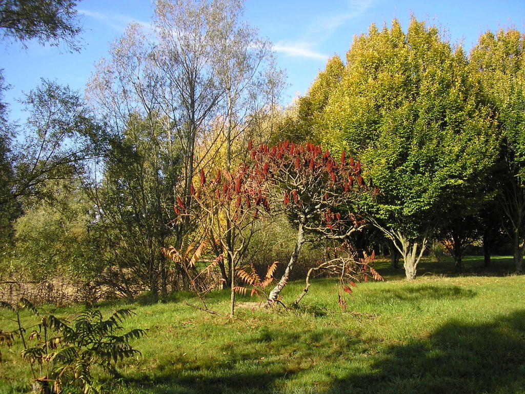 Domaine De La Belliere Hotel Villars-les-Dombes Luaran gambar