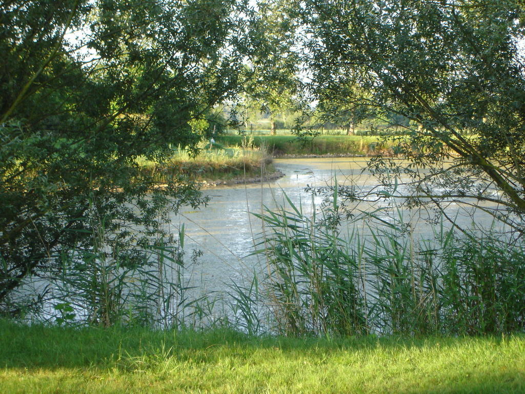 Domaine De La Belliere Hotel Villars-les-Dombes Luaran gambar